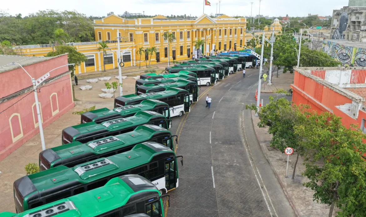 Nuevos buses TPC (6)
